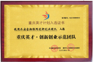 重庆英才计划入选证书